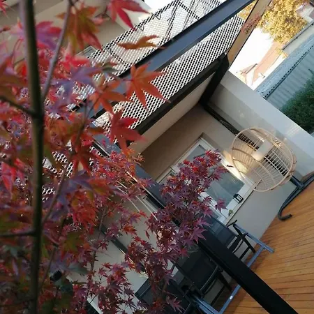 Maxim Apartment